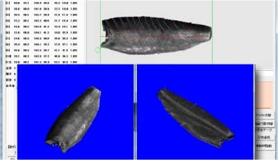 ビジョンシステム